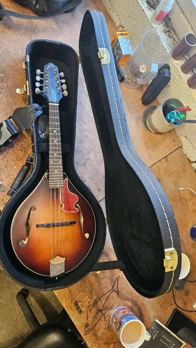 Mandolin - Image 1