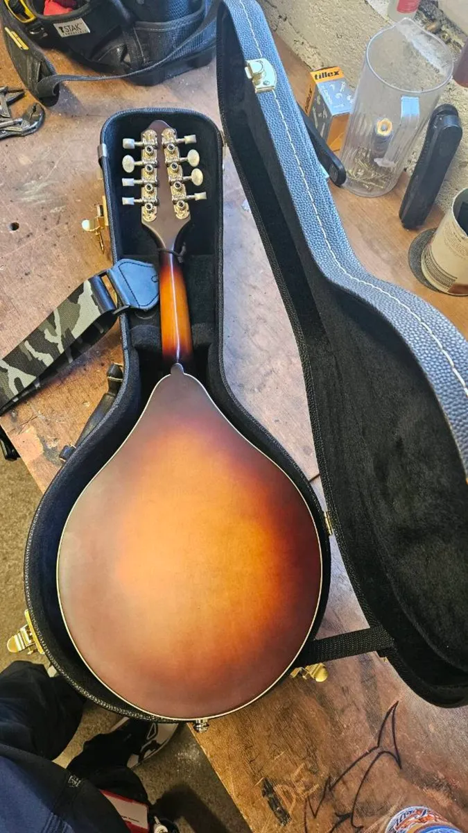 Mandolin - Image 2