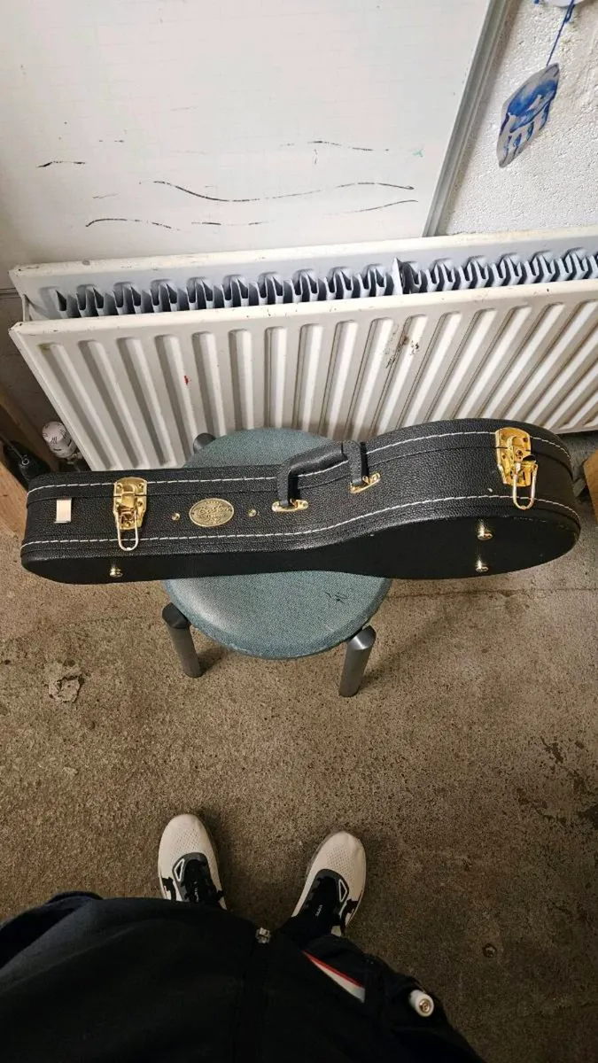 Mandolin - Image 4