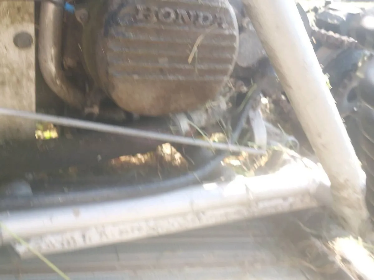 Buggy with Honda engine - Image 3
