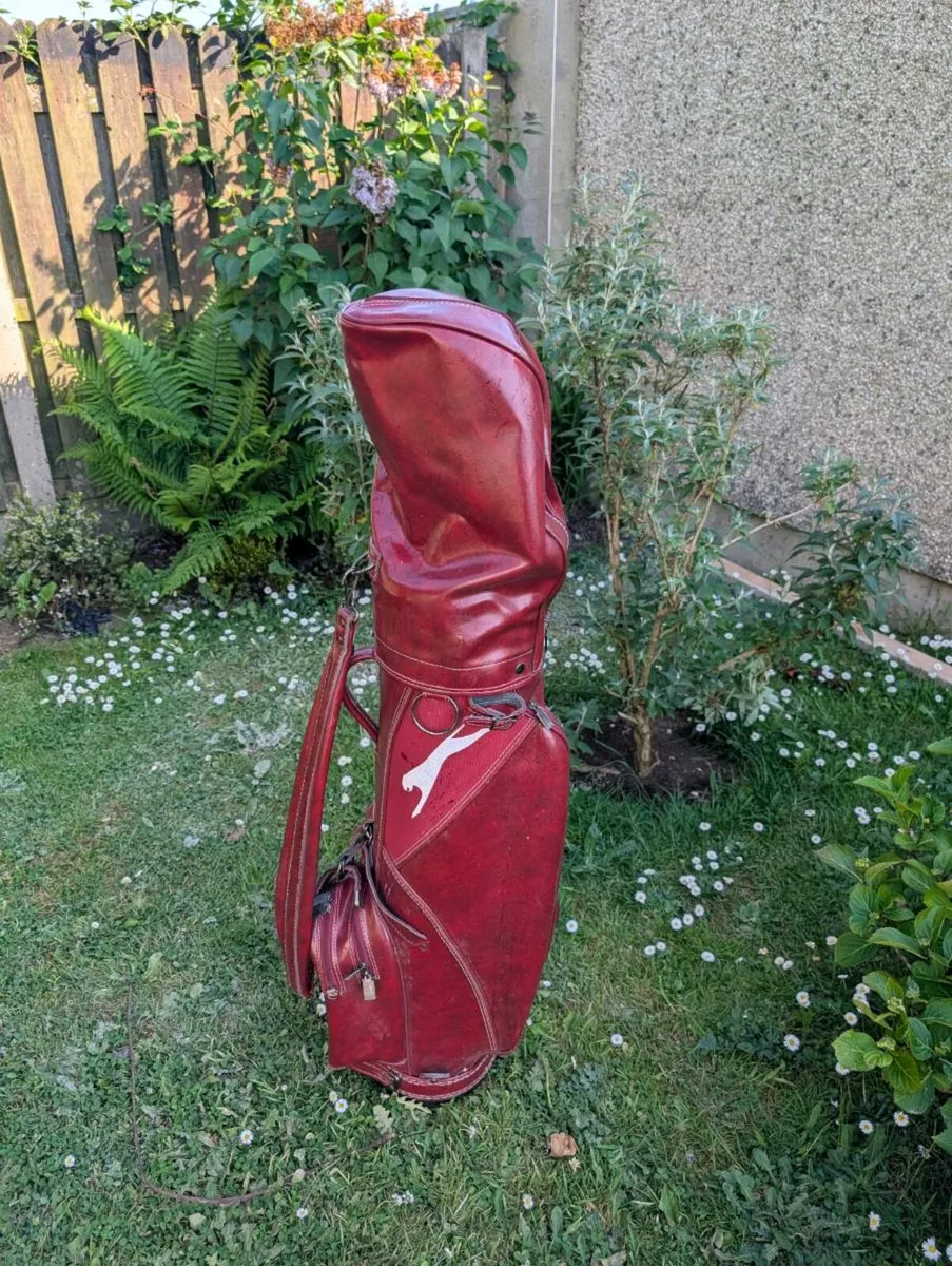 Gorgeous set of beginner Golf clubs - Image 1
