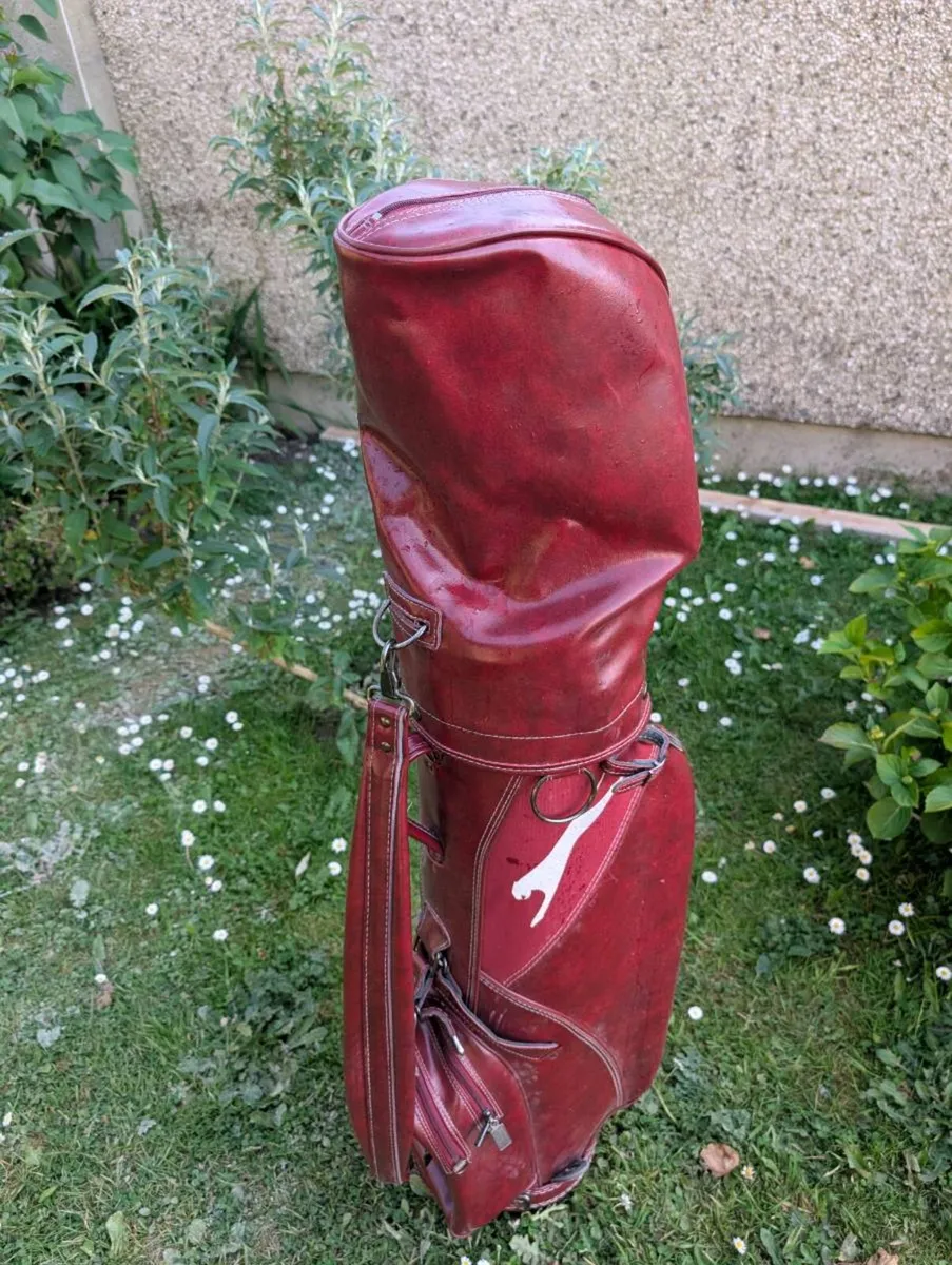 Gorgeous set of beginner Golf clubs - Image 2