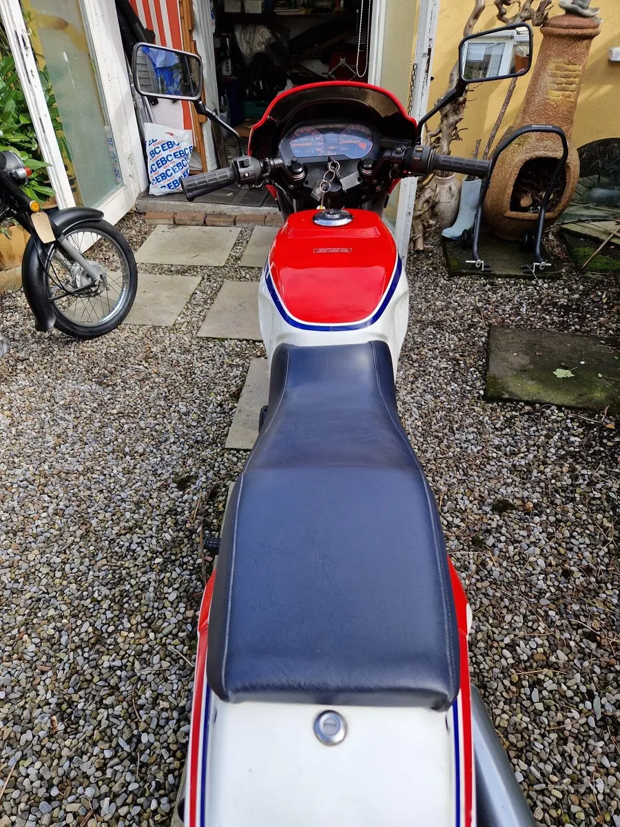 Honda MVX250F - Image 2