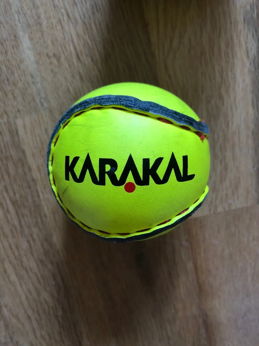 Sliotars 12 pack - Image 2