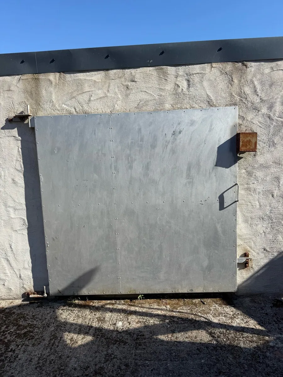Shed door - Image 1