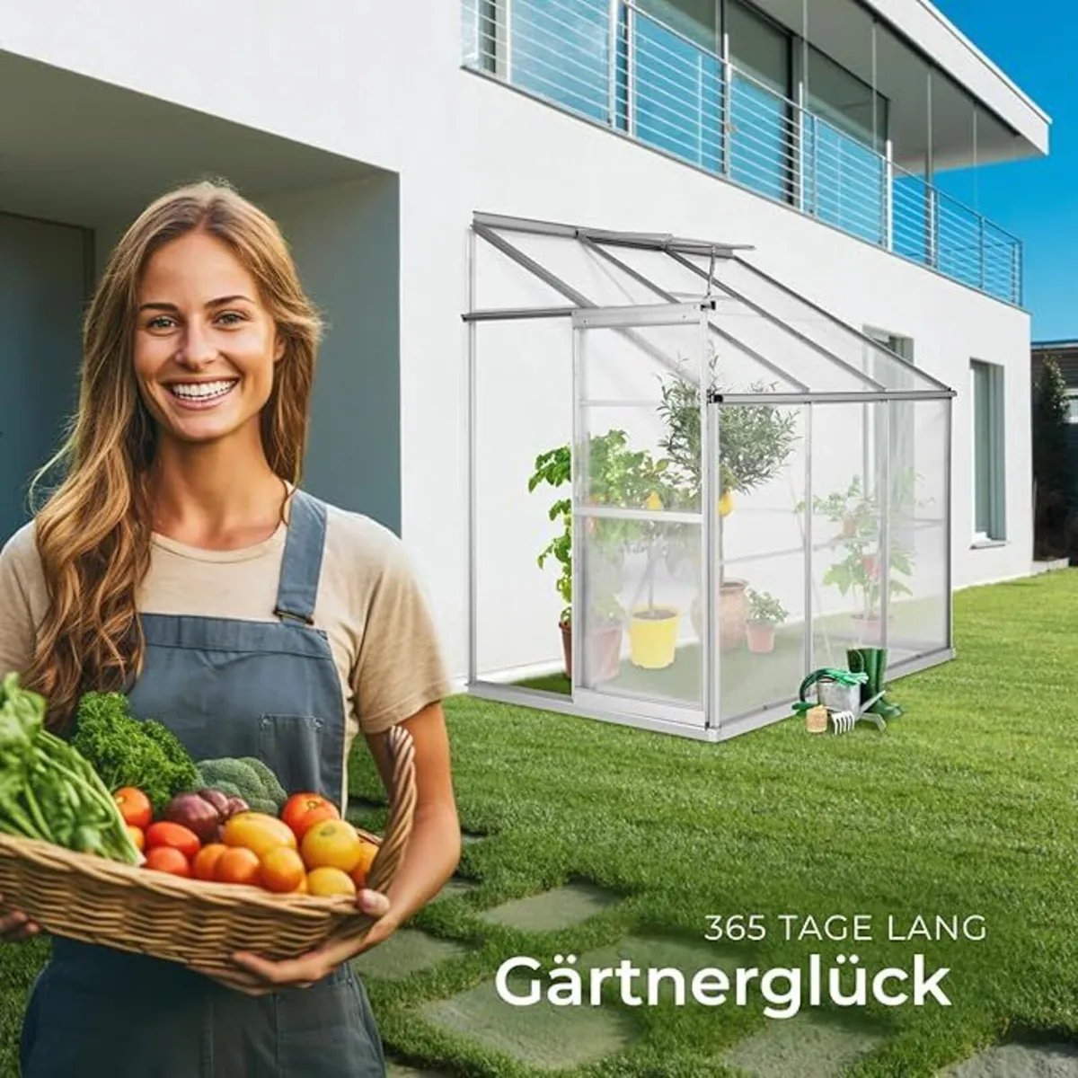 Aluminium Lean-To Greenhouse Side Greenhouse - Image 3