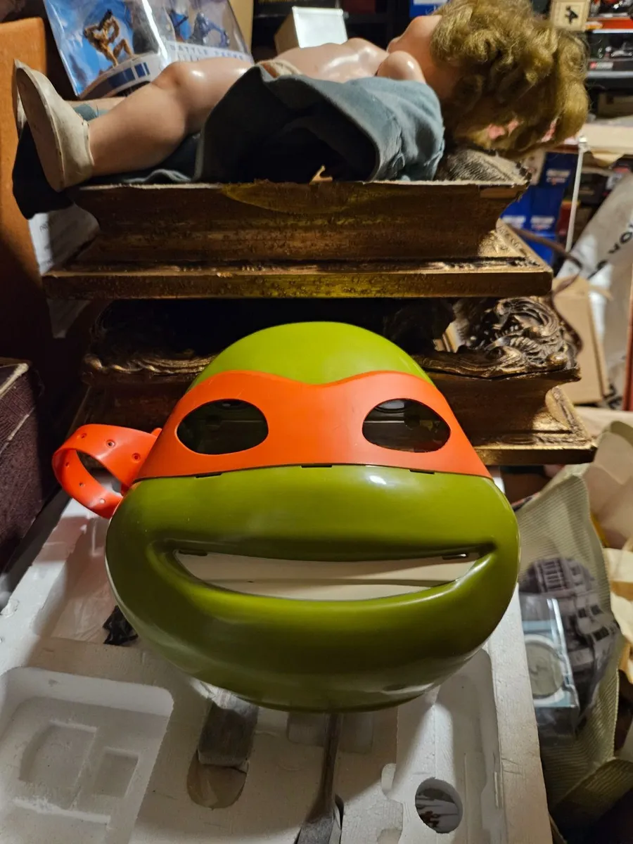 Ninja Turtles Mask - Image 1
