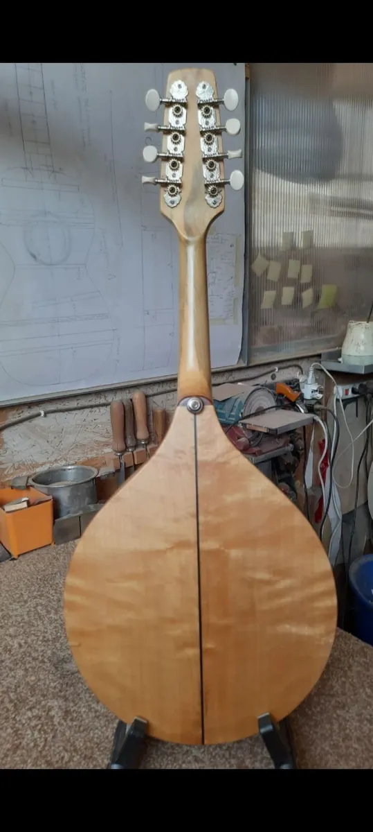Handmade Beginner Mandolin - Image 2