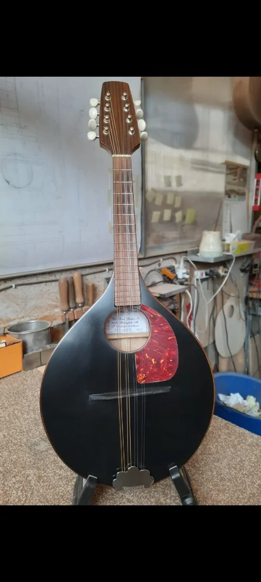 Handmade Beginner Mandolin - Image 1
