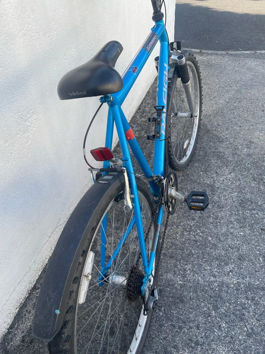 Raleigh 90's mountain bike - Image 3