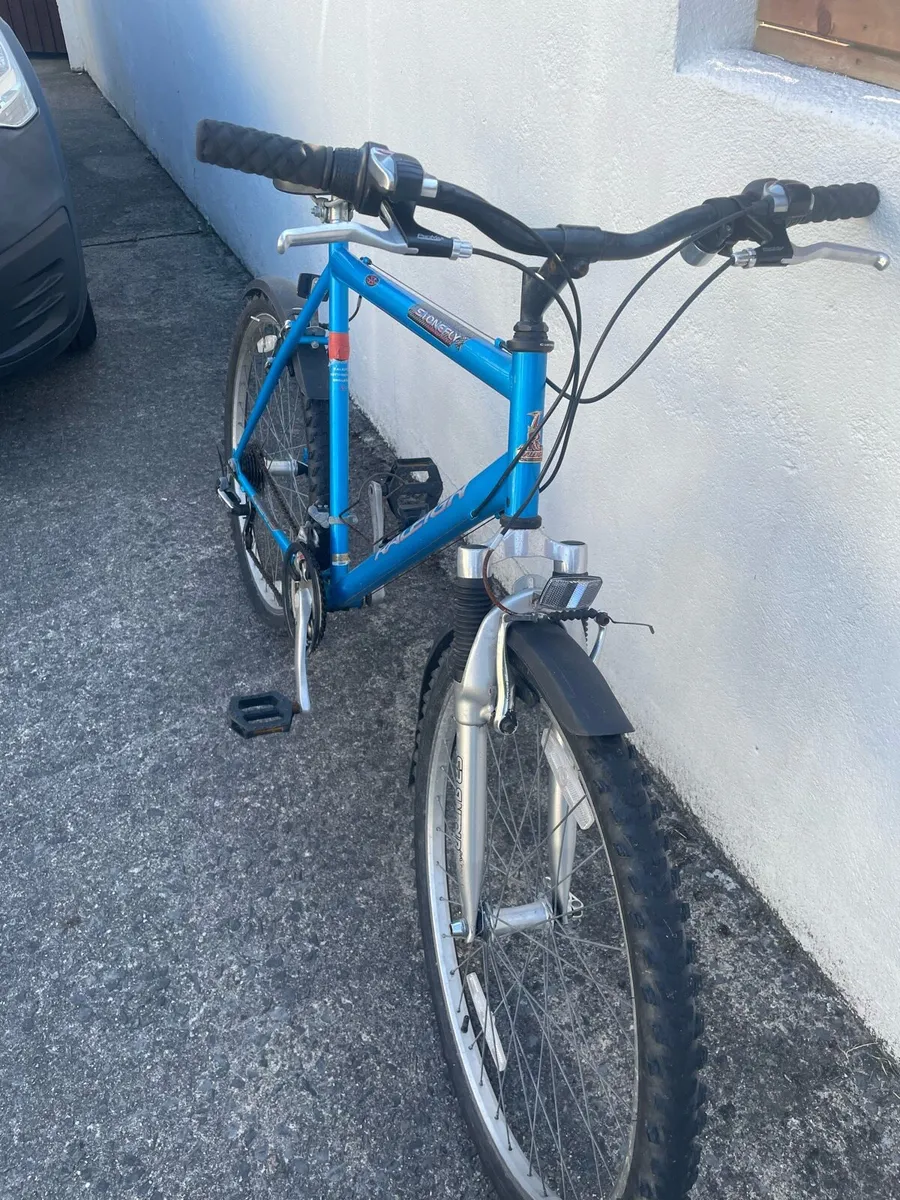 Raleigh 90's mountain bike - Image 2