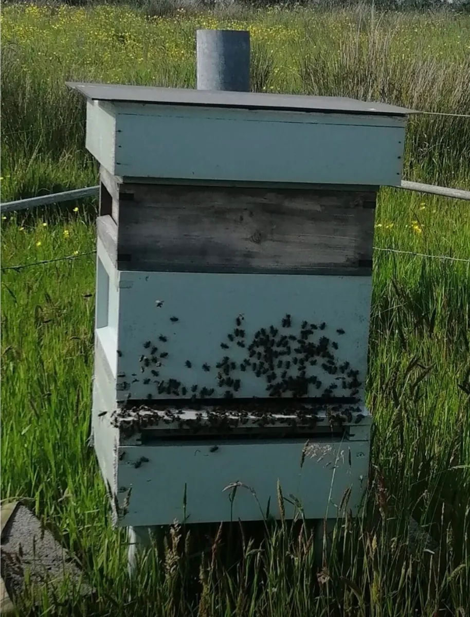 Bee hive and equipment