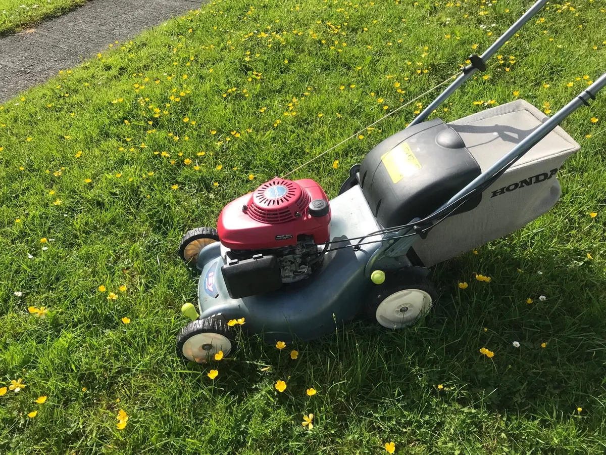 Honda izy self drive lawnmower - Image 3