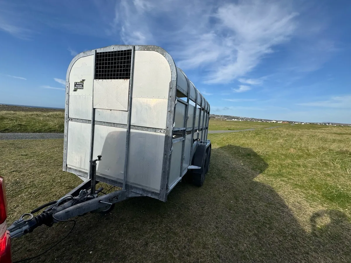 Sheep & Cattle Trailer - Image 1