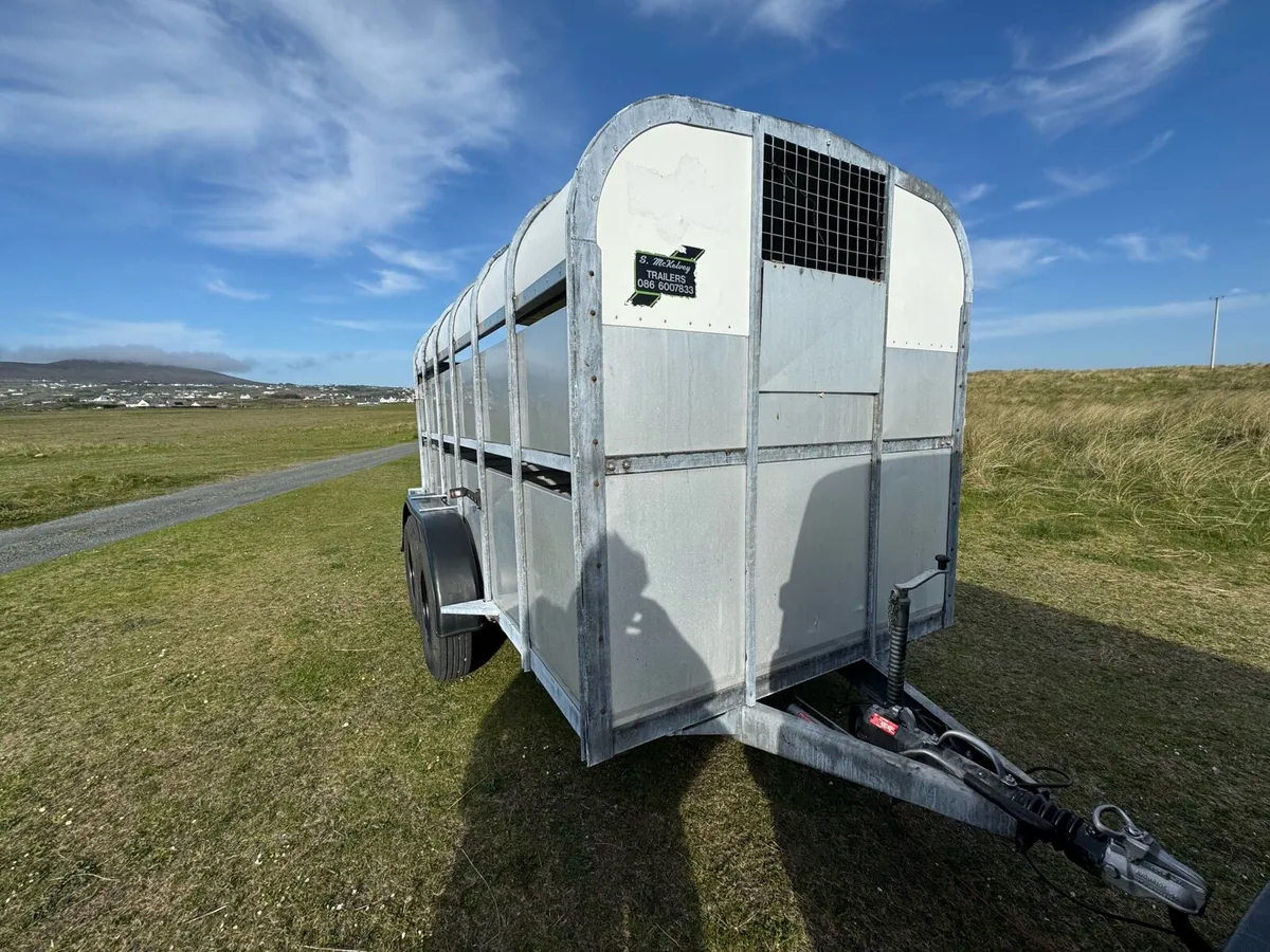 Sheep & Cattle Trailer - Image 2