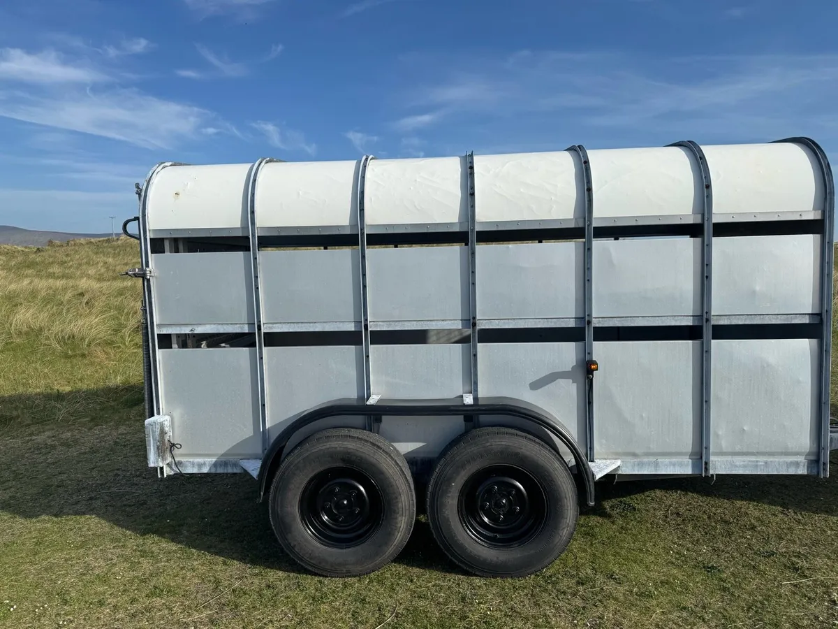 Sheep & Cattle Trailer - Image 3