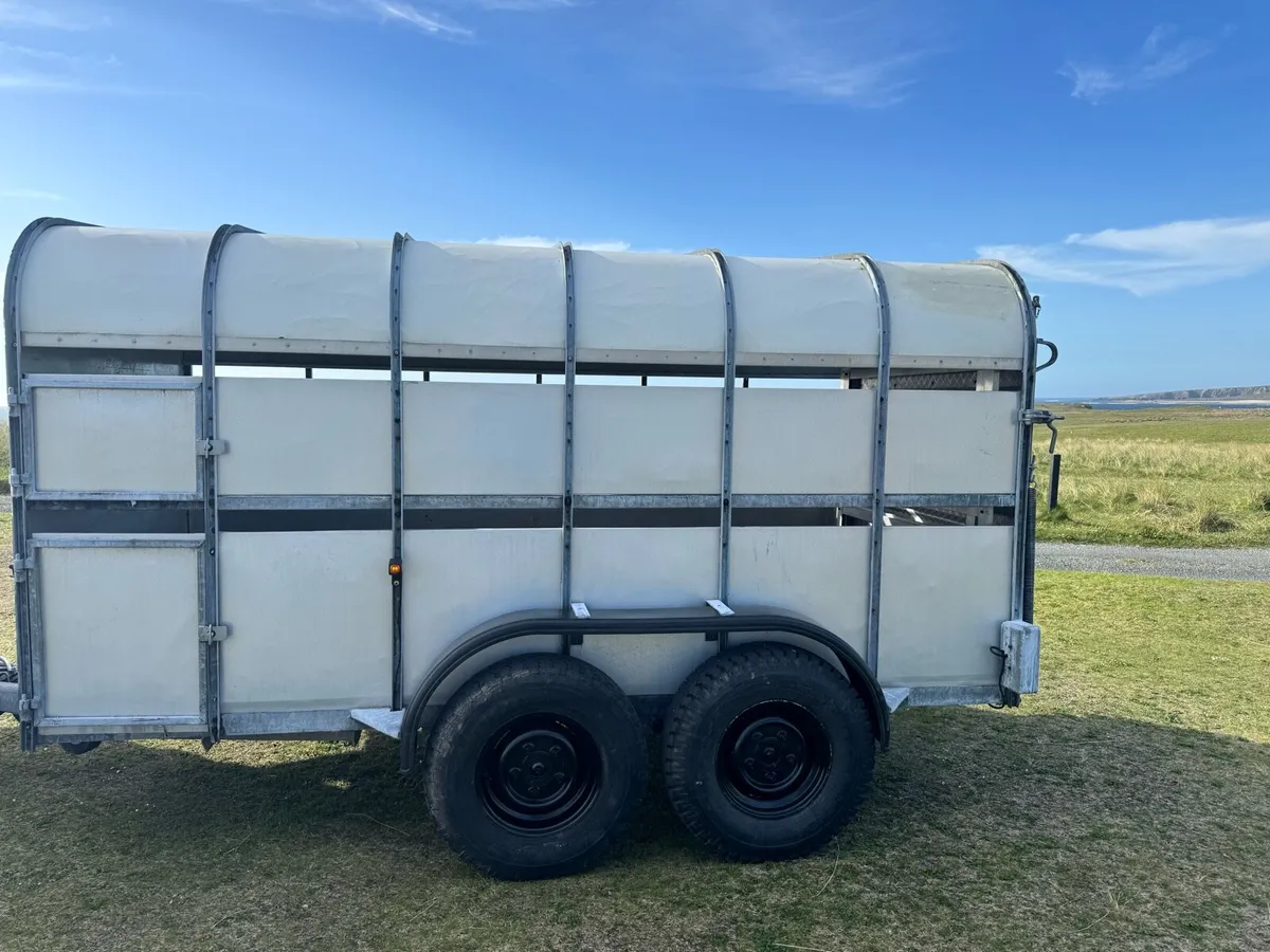 Sheep & Cattle Trailer - Image 4