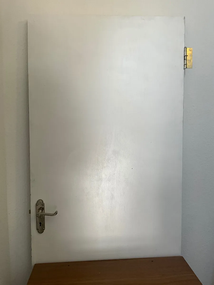 Fire Door with Handle & Hinges – €40 - Image 1