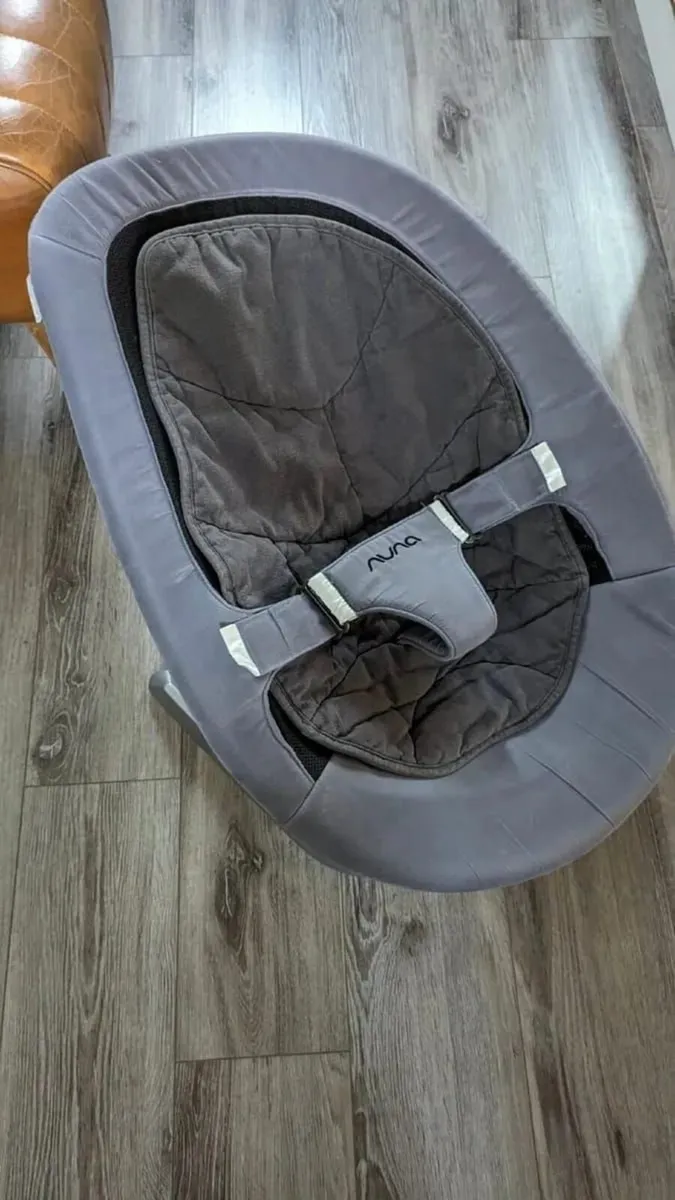 Baby Bouncer Nuna Leaf Non Motorised Convertible - Image 1