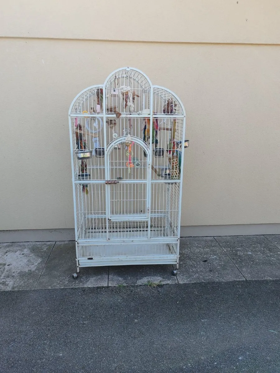 Parrot cage and stands - Image 1