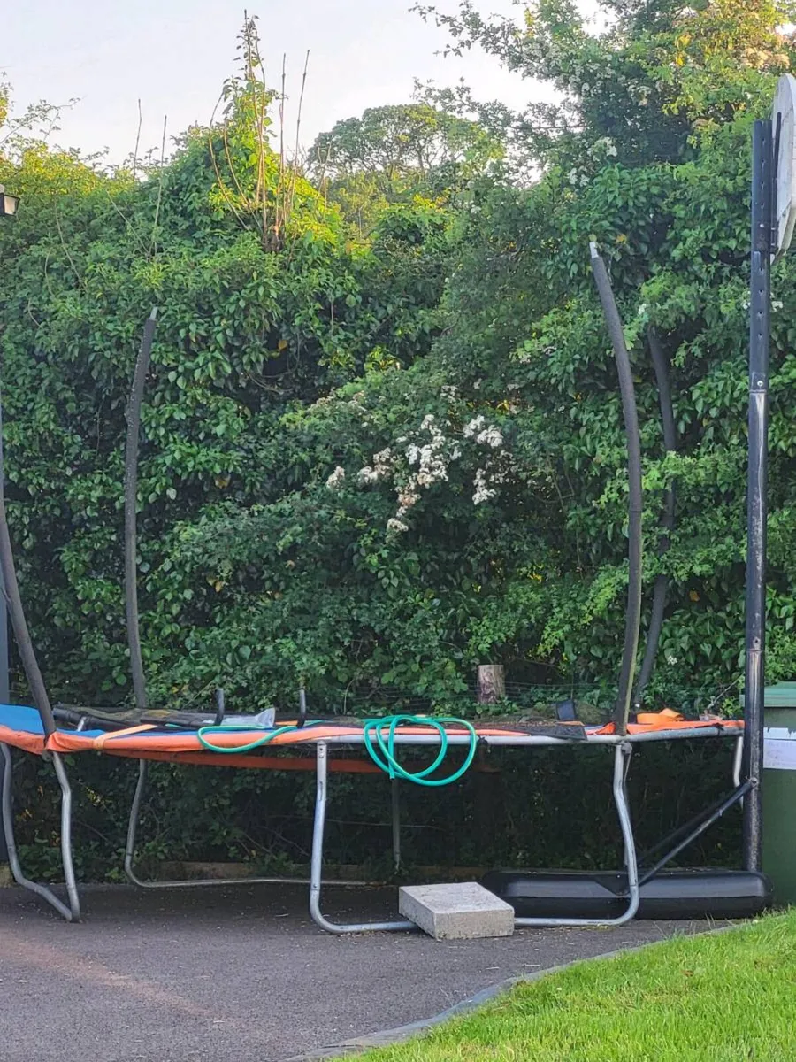 Trampoline