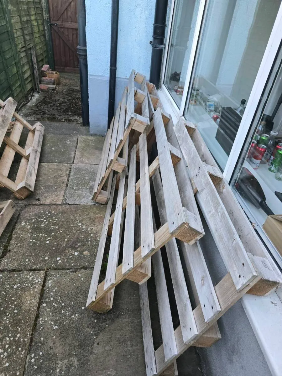 Pallets for FREE - Image 2
