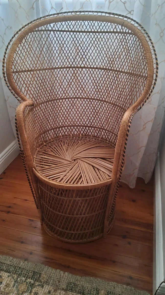 Childrens Peacock Chair - Image 2