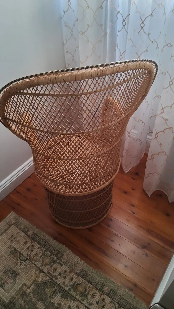 Childrens Peacock Chair - Image 3