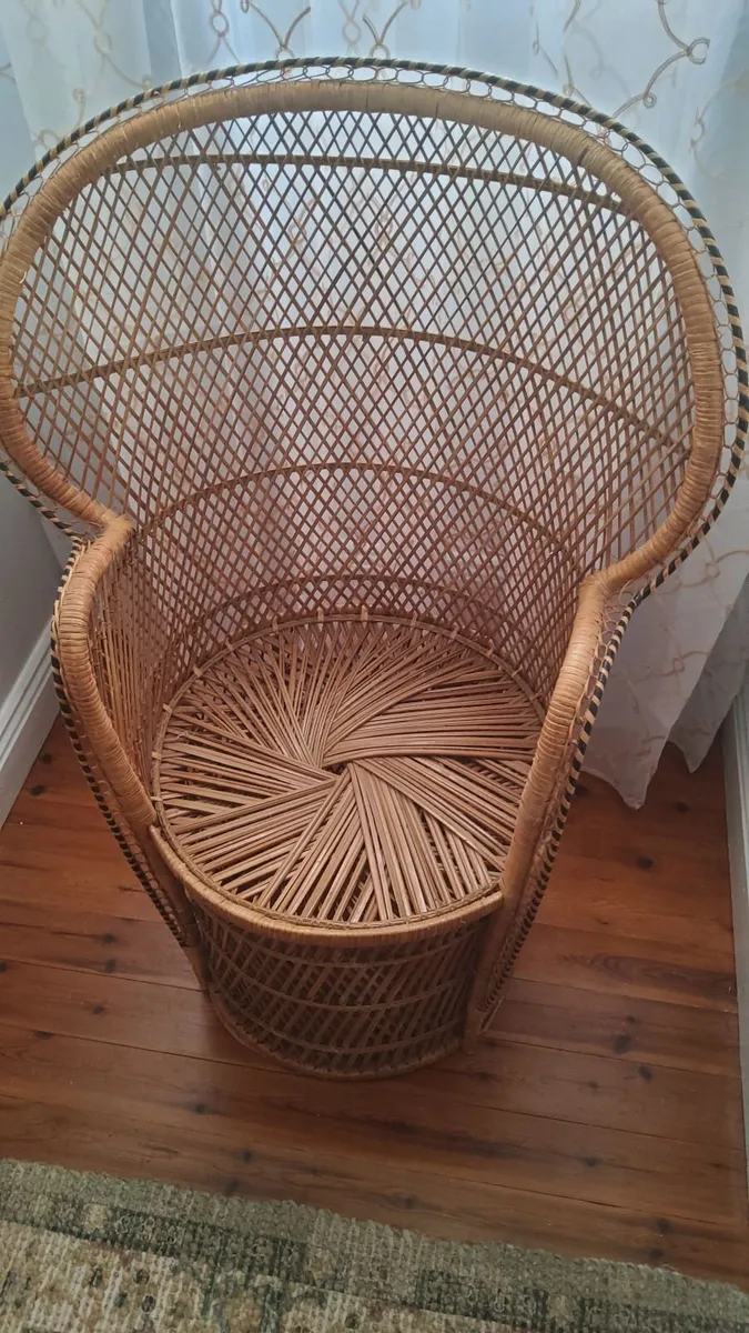 Childrens Peacock Chair - Image 4