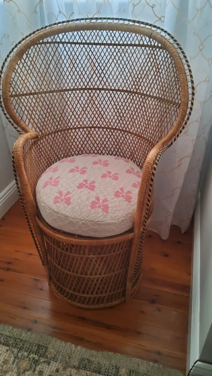 Childrens Peacock Chair - Image 1
