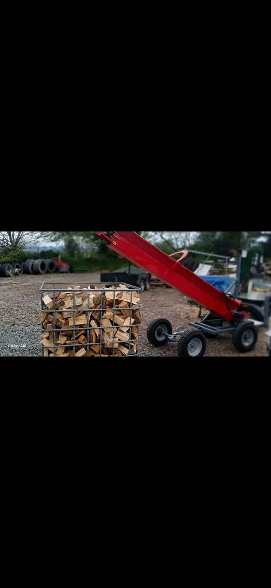 Log splitters conveyor/ Elevator - Image 2