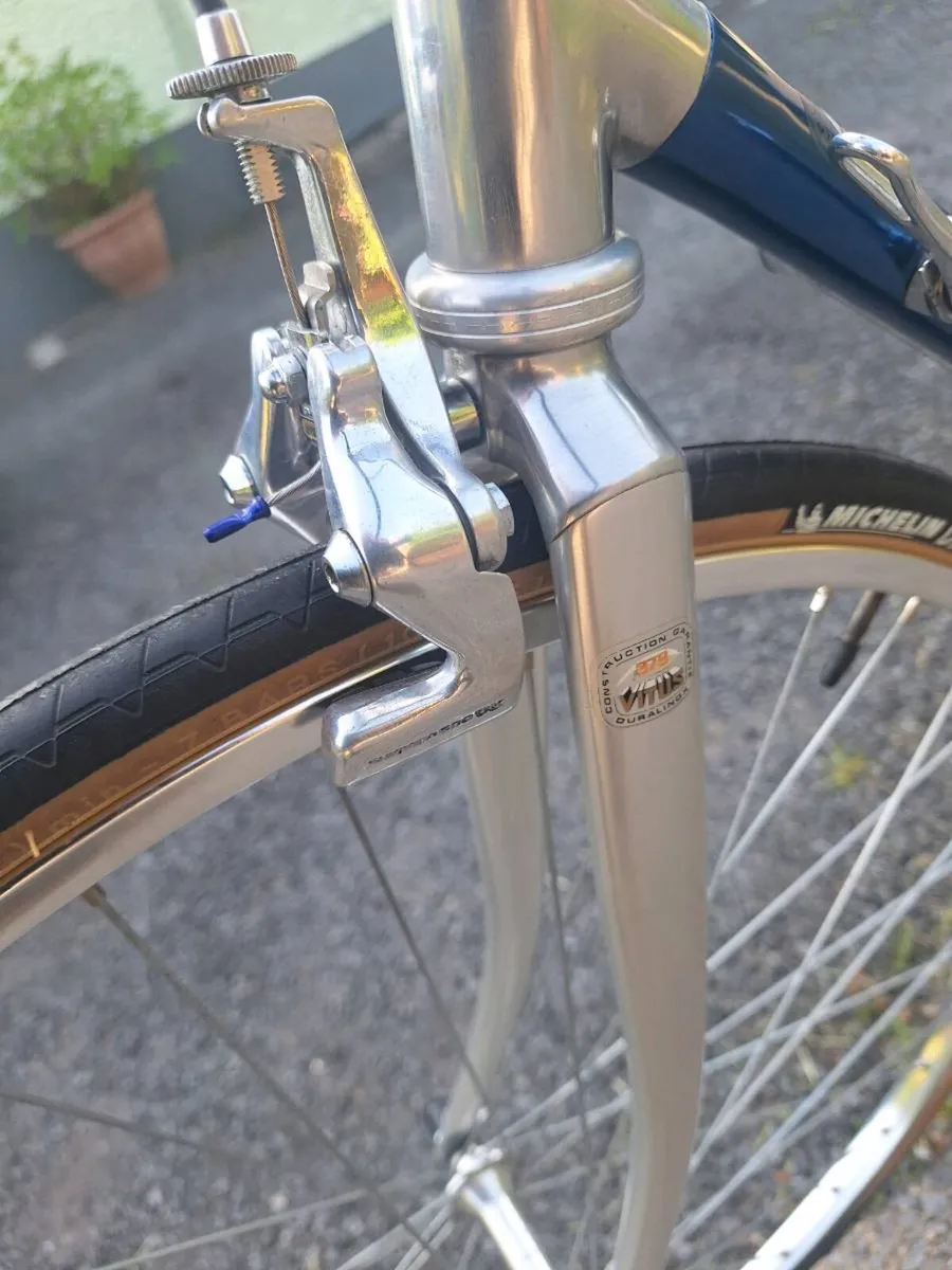 Sean Kelly Vitus - Image 3