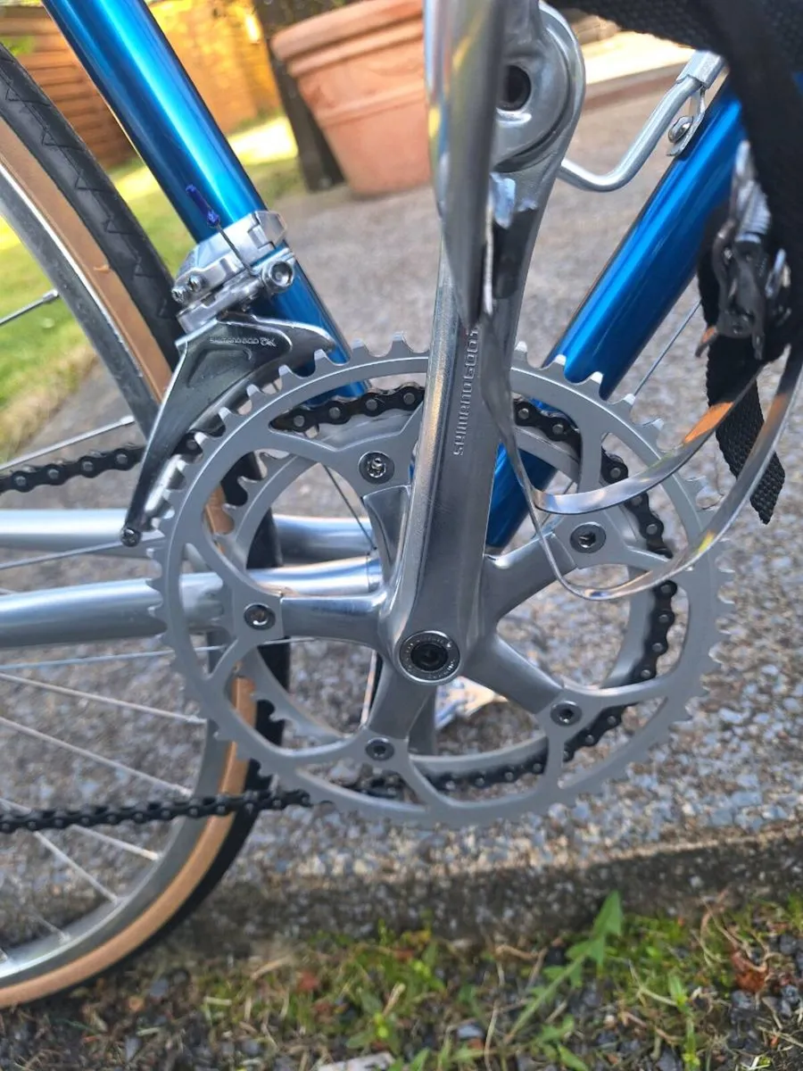 Sean Kelly Vitus - Image 4