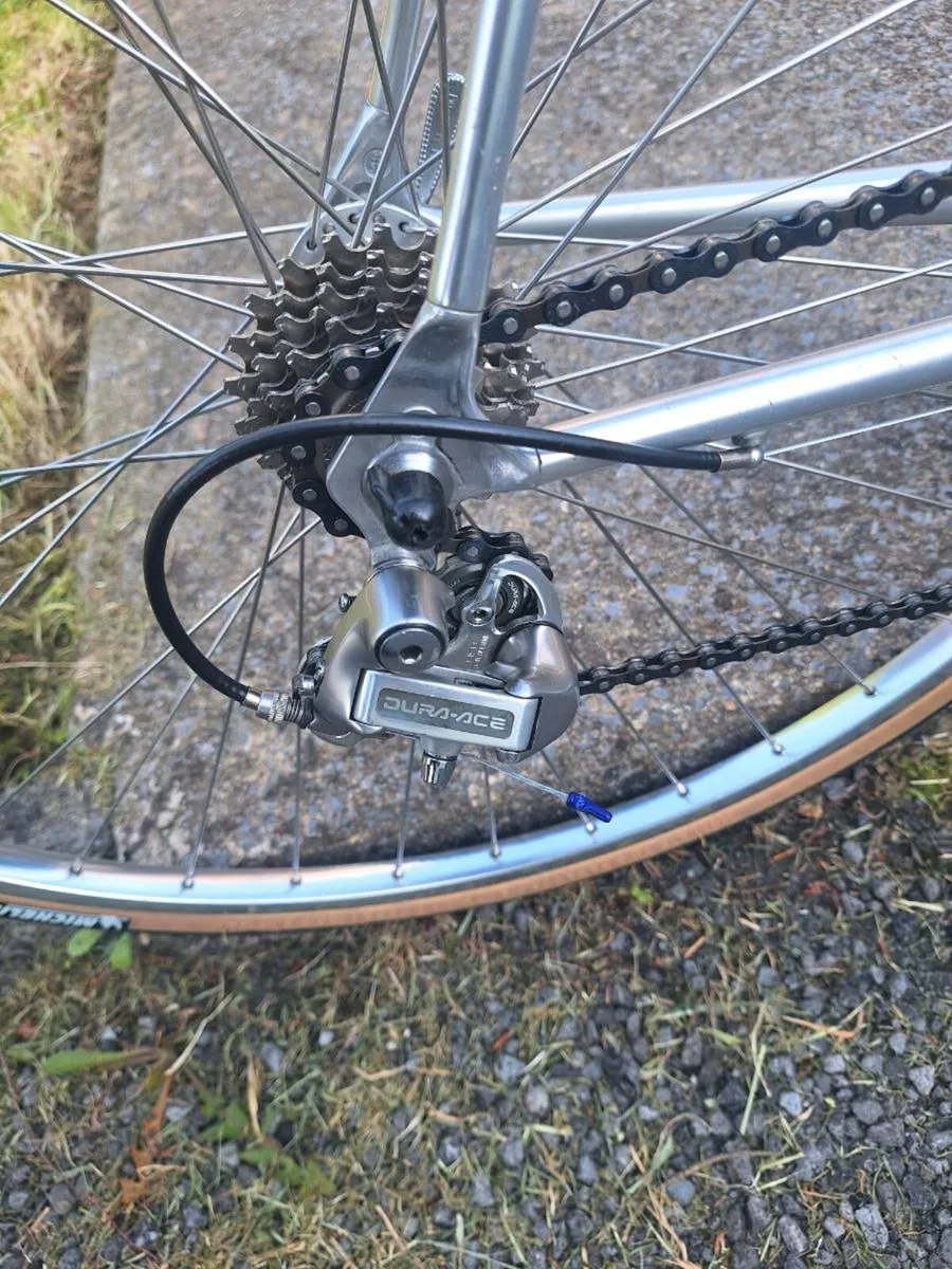Sean Kelly Vitus - Image 4