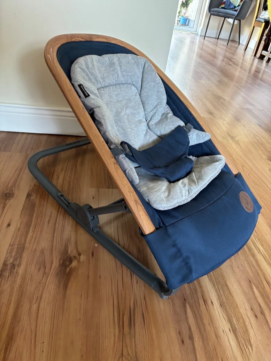 Baby Bouncer - Image 1