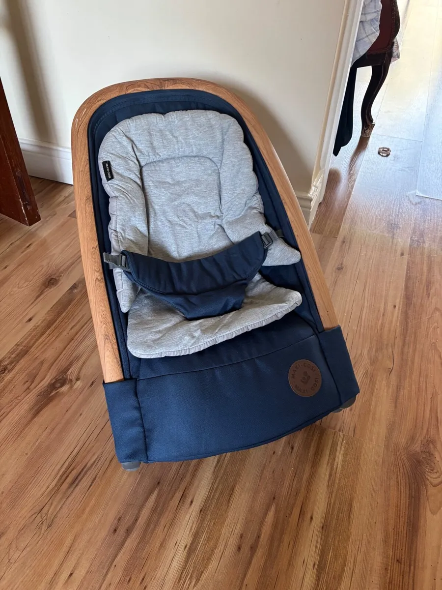 Baby Bouncer - Image 2