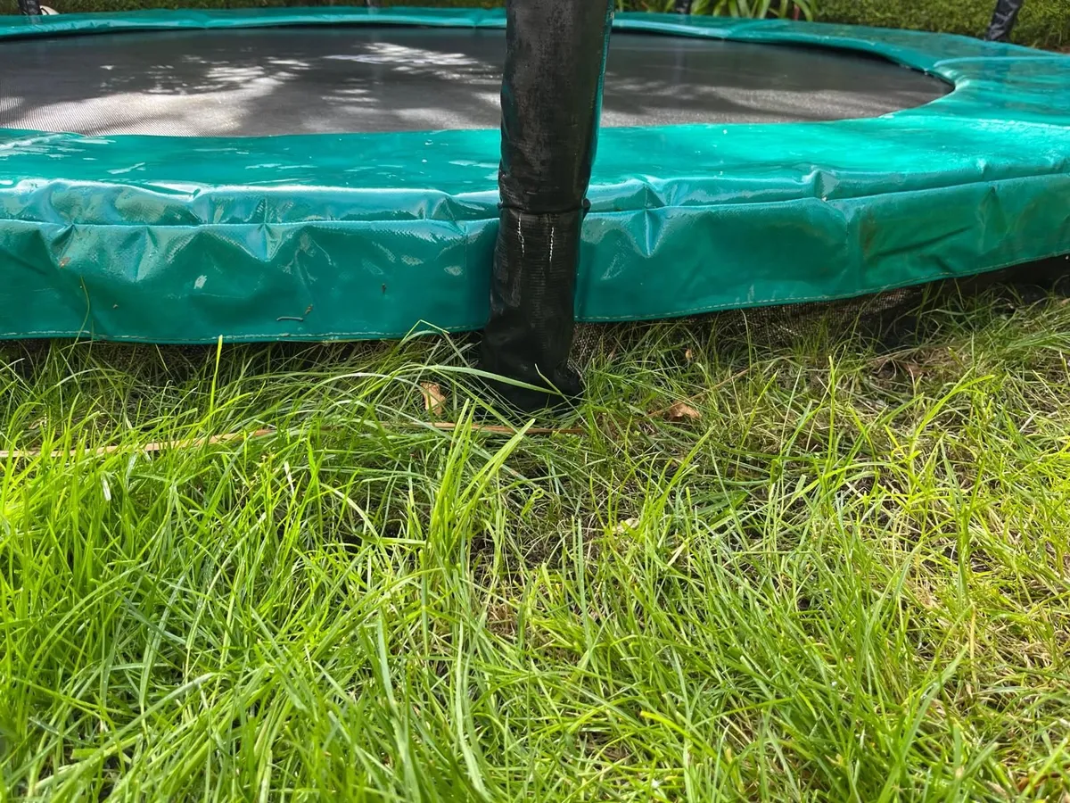 Berg Trampoline - Image 3