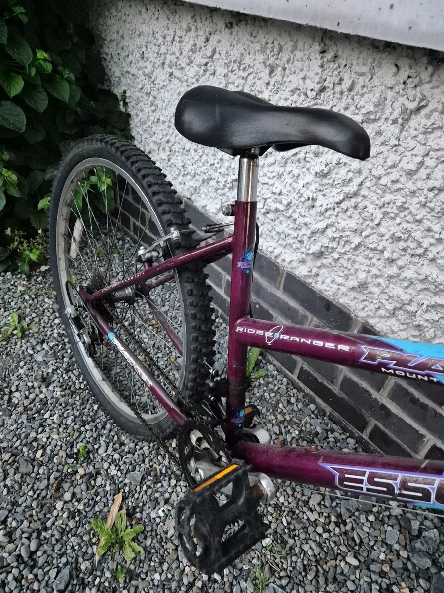 Bicycle - Image 2