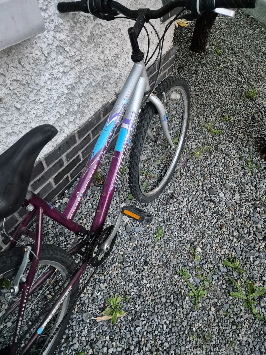 Bicycle - Image 4