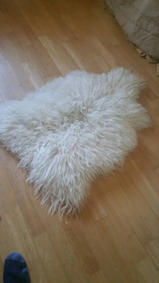 Sheepskin rug