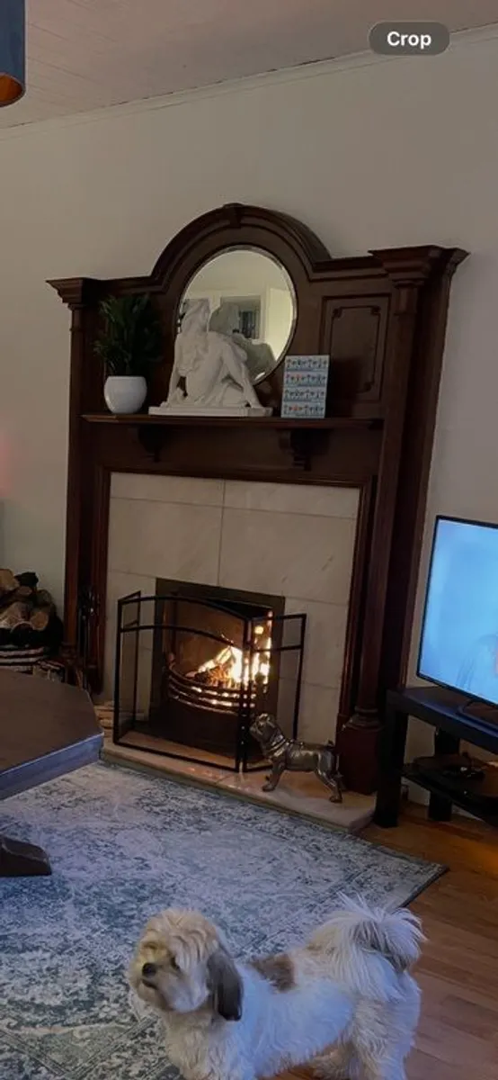 Fire Surround - Image 3