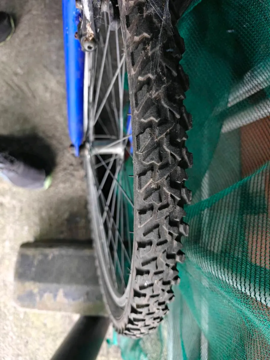 Specialized mountain bike - Image 4