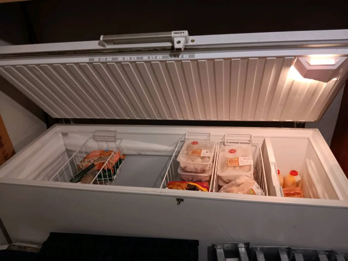 Chest Freezer - Image 1