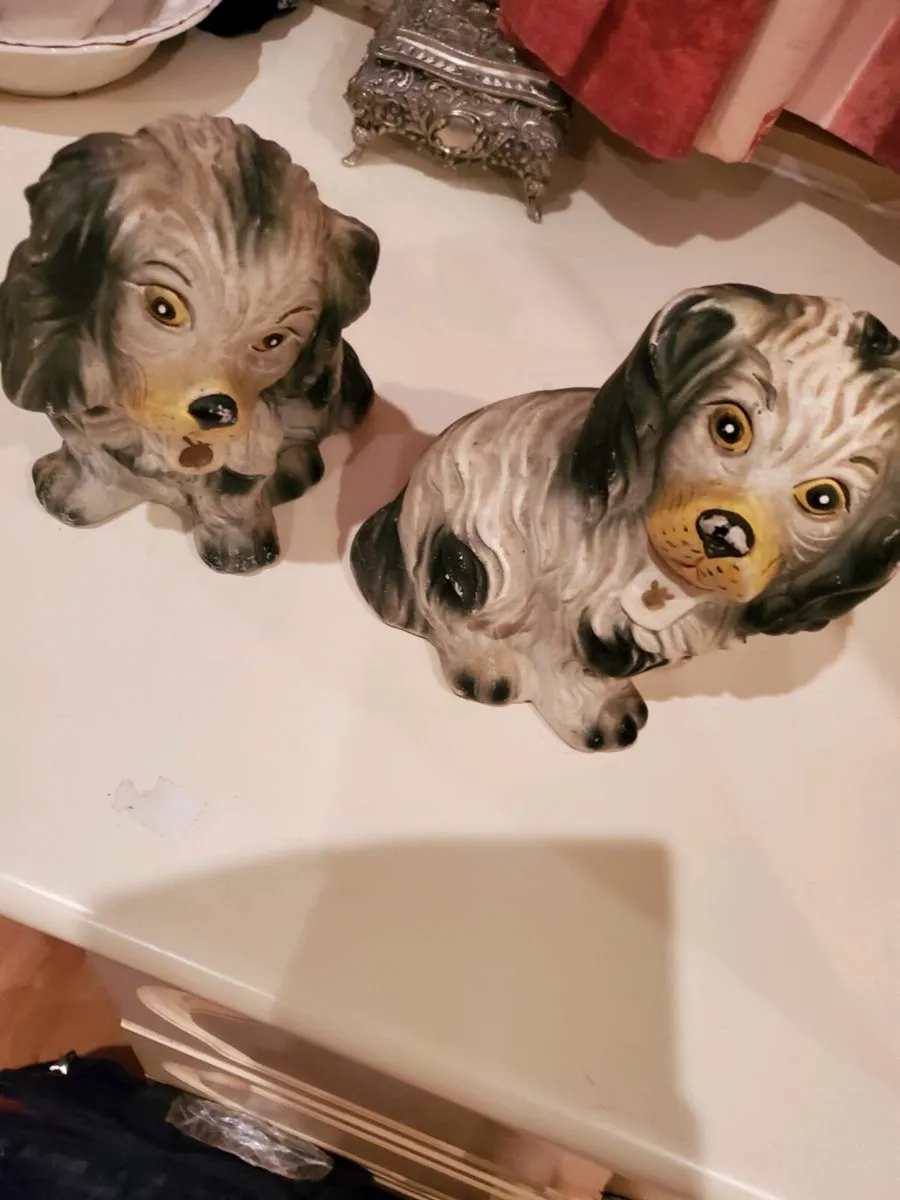 Pair of dogs