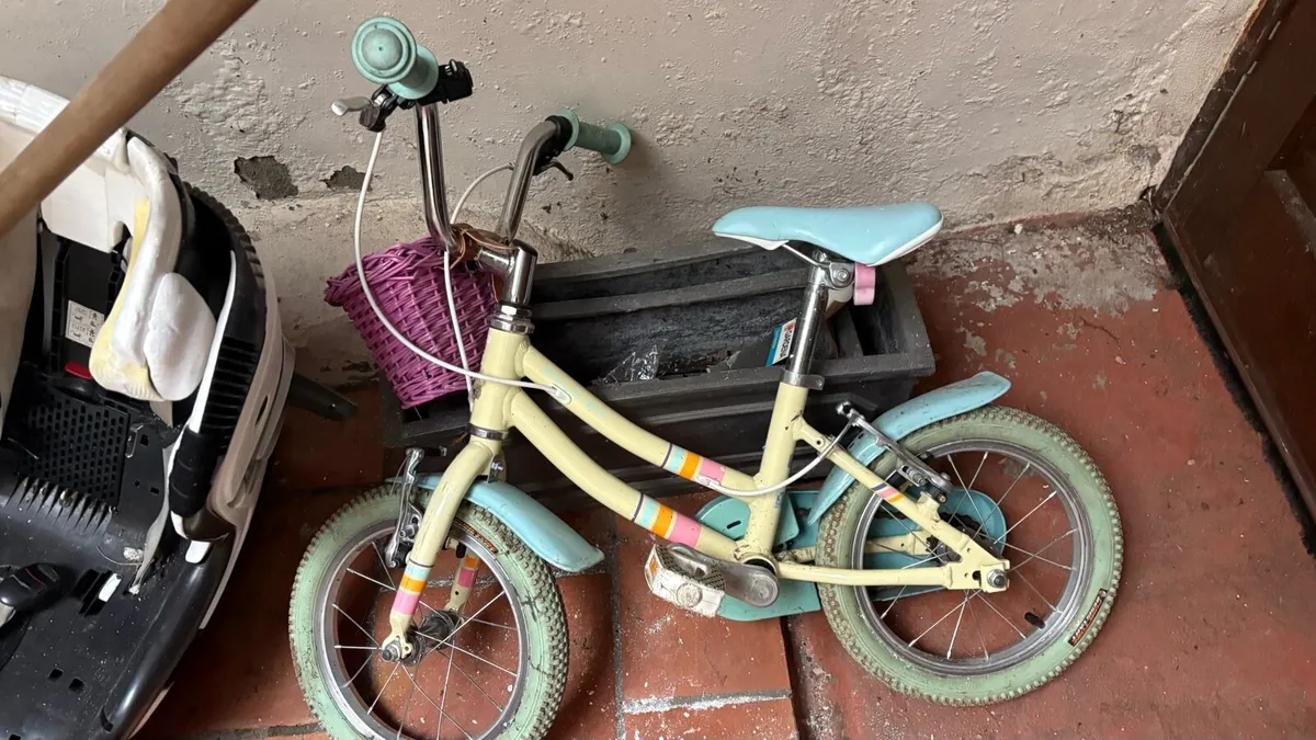 Raleigh bike 16”