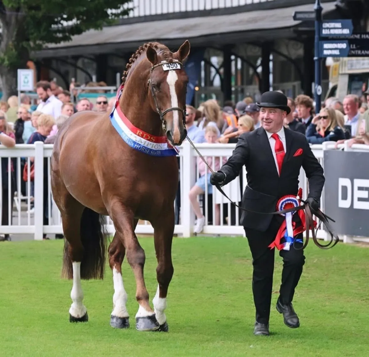 🔱At Stud Moylough Supremacy🔱 - Image 2