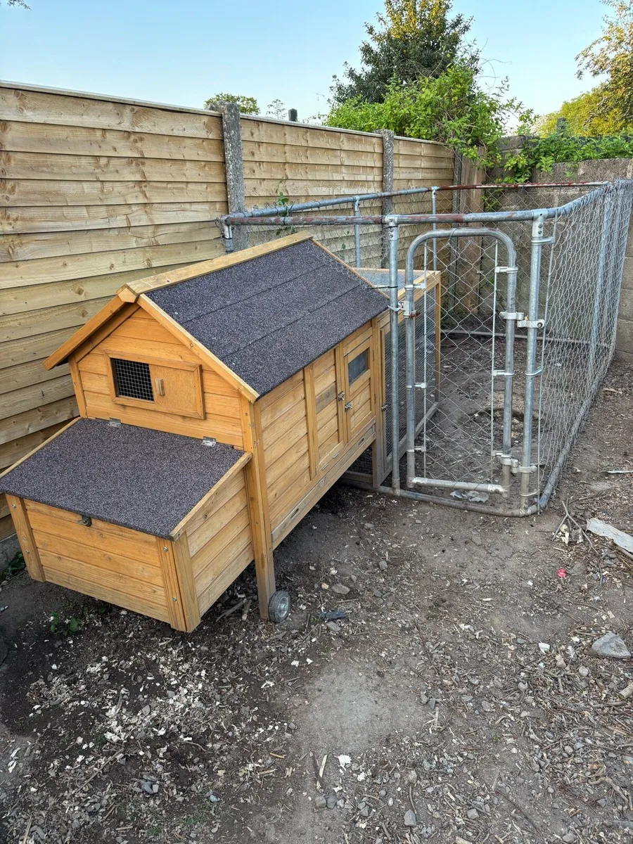 Chicken coop 6 to 8 hens - Image 2