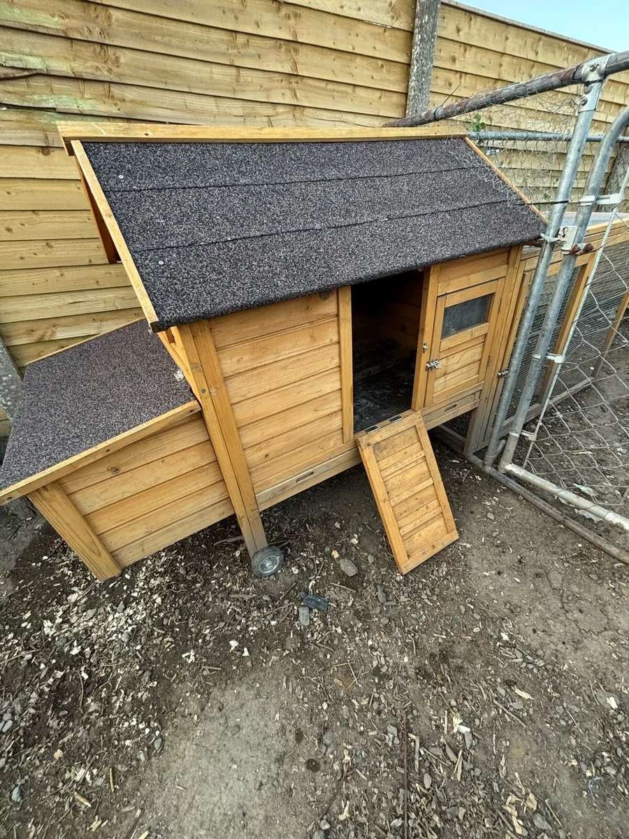 Chicken coop 6 to 8 hens - Image 3