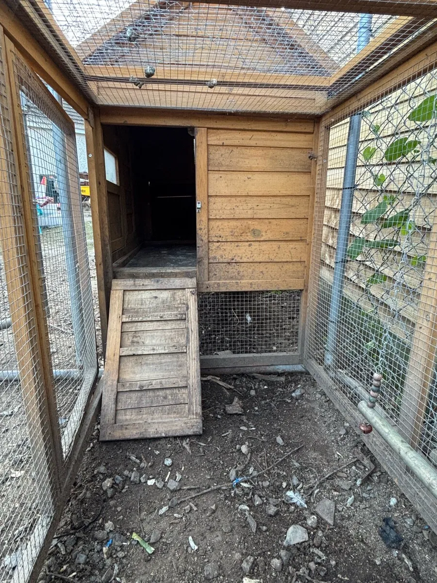 Chicken coop 6 to 8 hens - Image 4