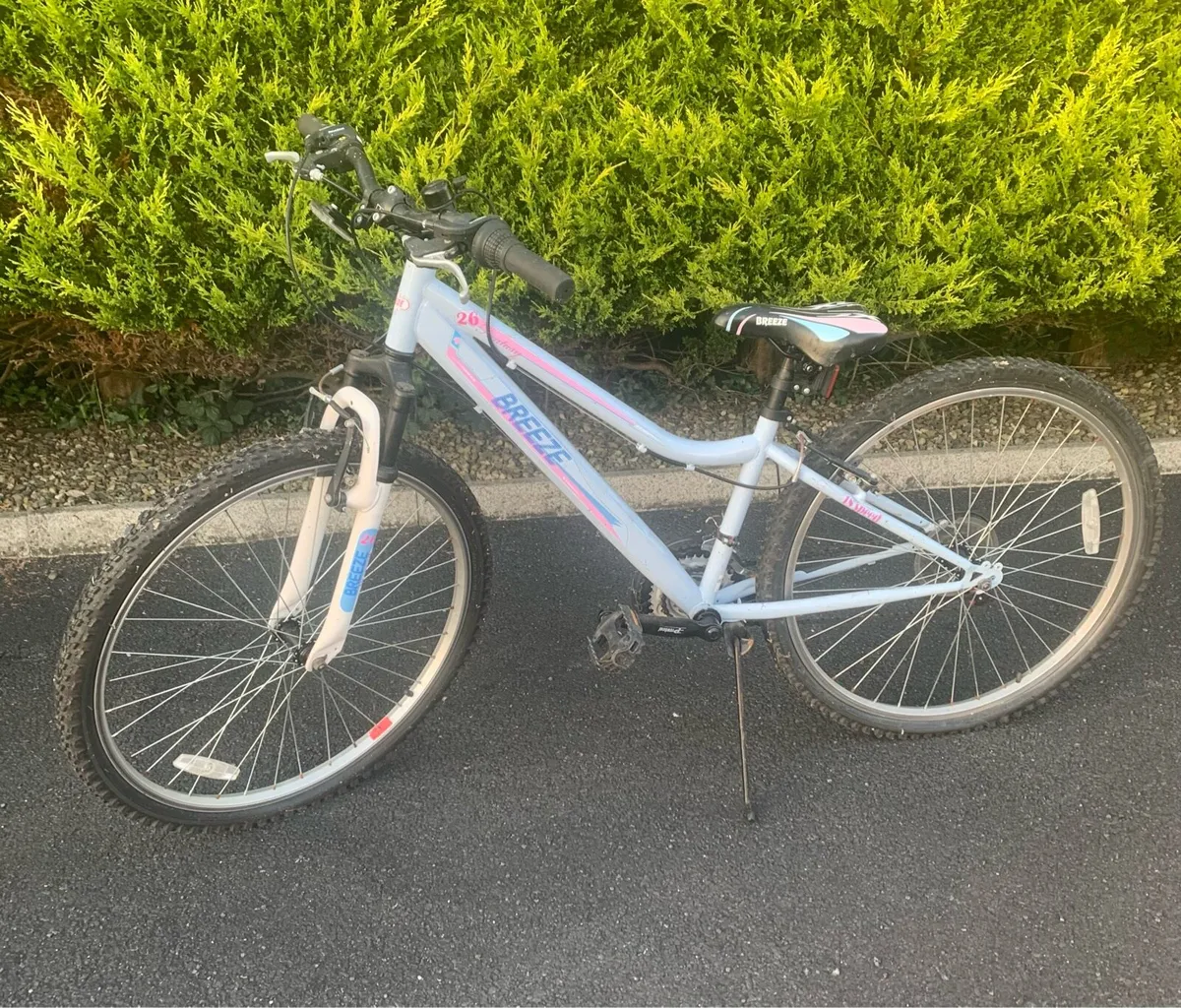 Bike’s no 2 - Image 1
